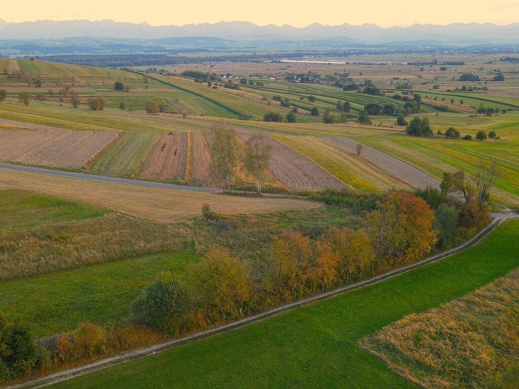 Działka Sprzedaż Pieniążkowice 10