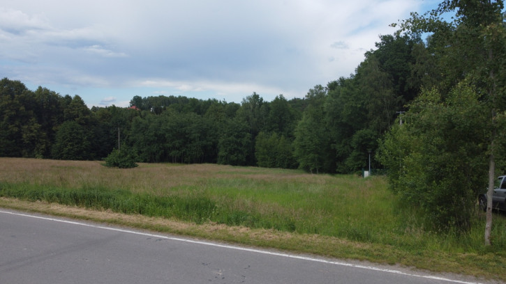 Działka Sprzedaż Głogoczów 6