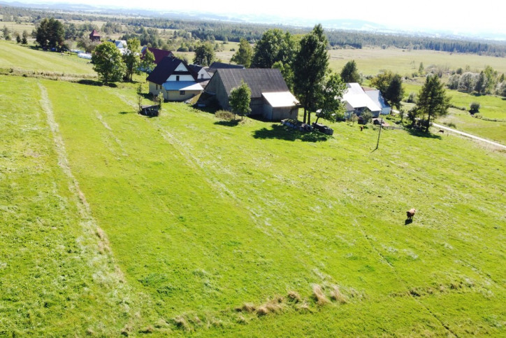 Działka Sprzedaż Odrowąż 2