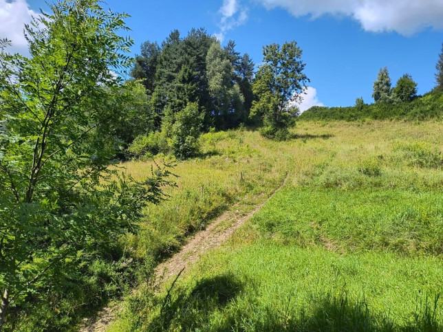 Działka Sprzedaż Szlembark 12