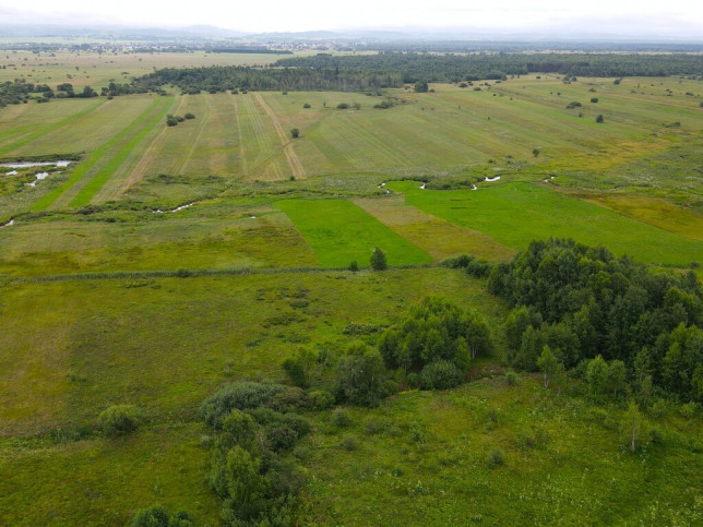 Działka Sprzedaż Odrowąż 6