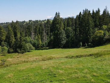 Dom Sprzedaż Bustryk