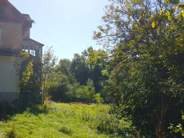 Dom Sprzedaż Orawka 7