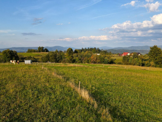 Działka Sprzedaż Bukowina-Osiedle 8