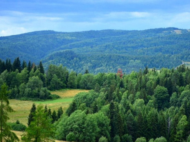 Działka Sprzedaż Rabka-Zdrój 4