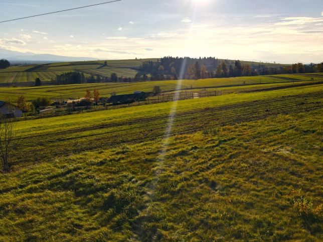 Działka Sprzedaż Odrowąż 11