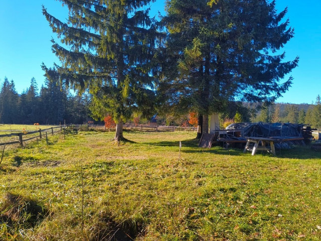 Działka Sprzedaż Witów 3