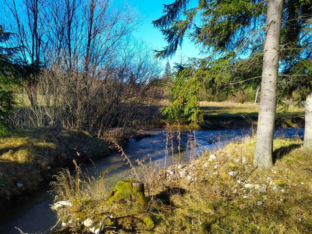 Działka Sprzedaż Witów 18
