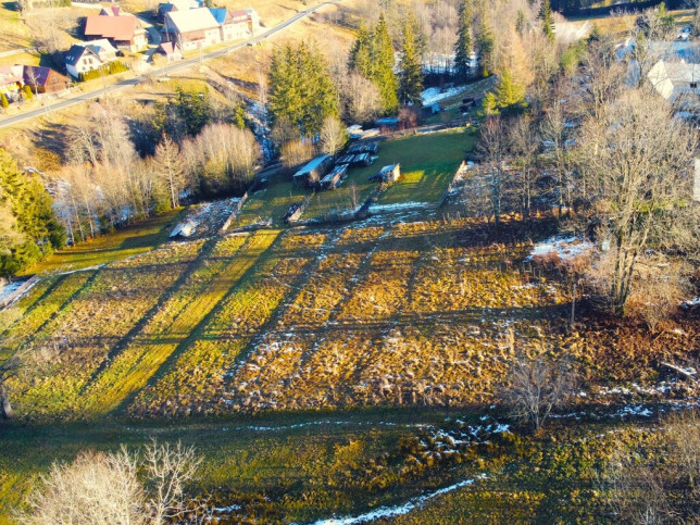Działka Sprzedaż Dzianisz 12