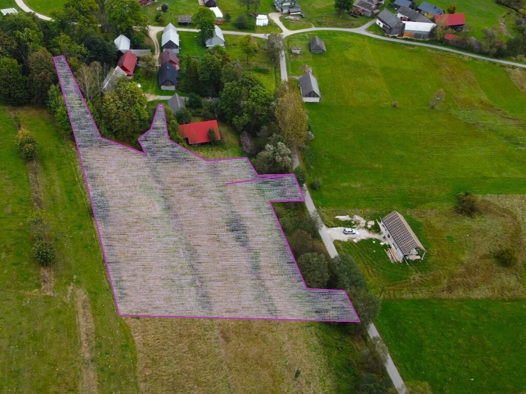 Działka Sprzedaż Odrowąż