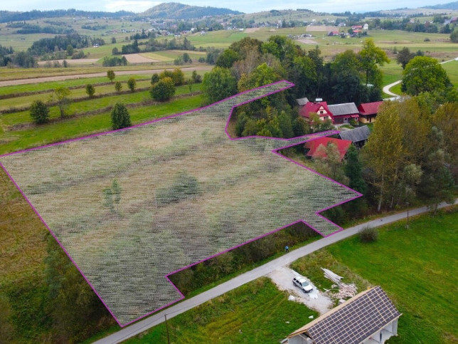 Działka Sprzedaż Odrowąż 5