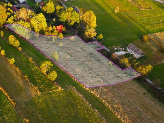 Działka Sprzedaż Odrowąż 6