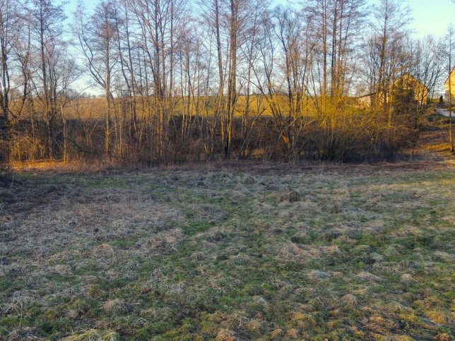 Działka Sprzedaż Nowe Dwory 3