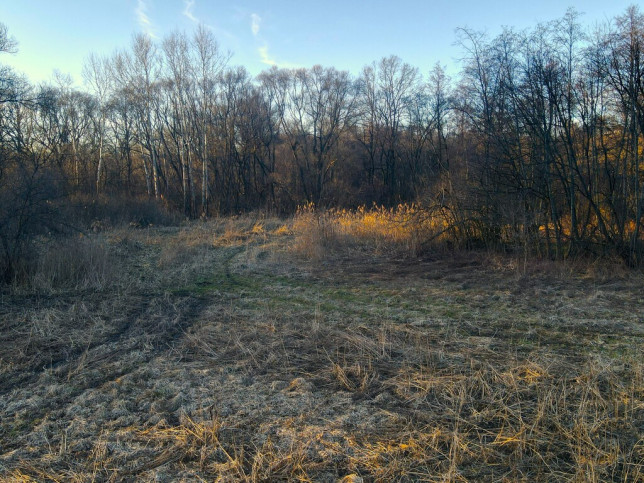 Działka Sprzedaż Nowe Dwory 6