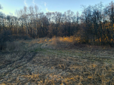 Działka Sprzedaż Nowe Dwory