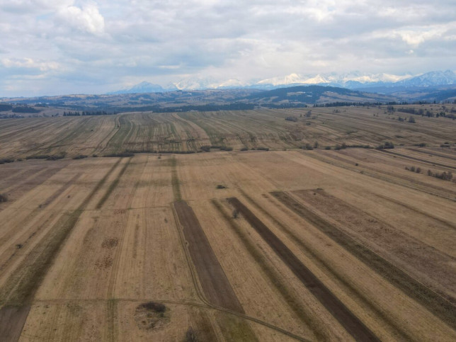 Działka Sprzedaż Czarny Dunajec 4