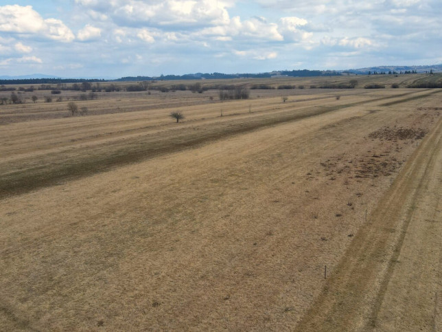 Działka Sprzedaż Czarny Dunajec 6