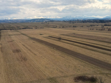 Działka Sprzedaż Czarny Dunajec
