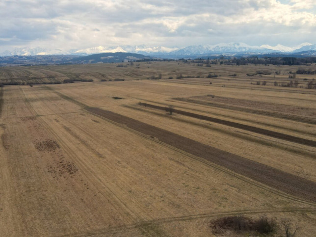 Działka Sprzedaż Czarny Dunajec 1