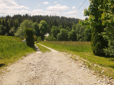 Działka Sprzedaż Ząb