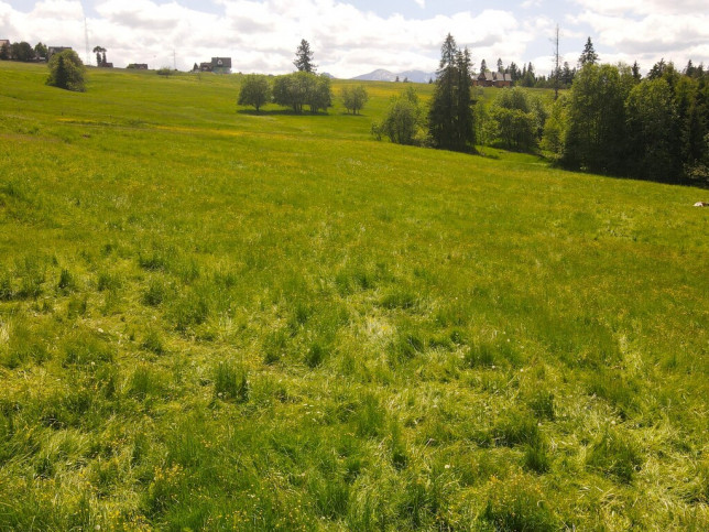 Działka Sprzedaż Ząb 10