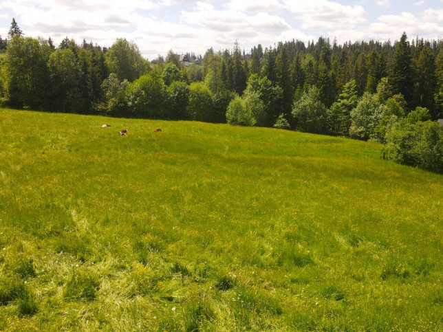 Działka Sprzedaż Ząb 13