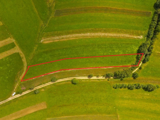 Działka Sprzedaż Odrowąż 6