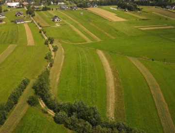 Działka Sprzedaż Odrowąż