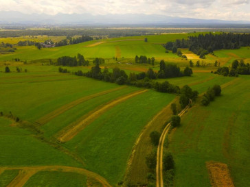 Działka Sprzedaż Odrowąż