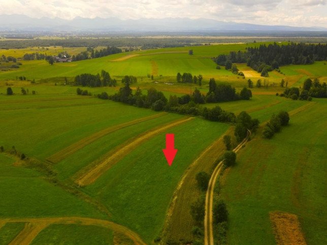 Działka Sprzedaż Odrowąż 1