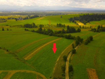Działka Sprzedaż Odrowąż