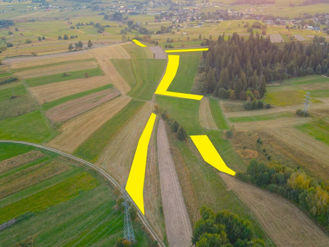 Działka Sprzedaż Pieniążkowice 2