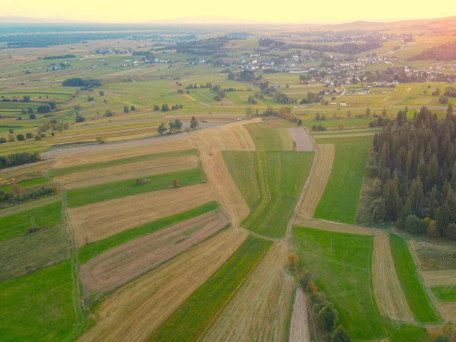 Działka Sprzedaż Pieniążkowice 6