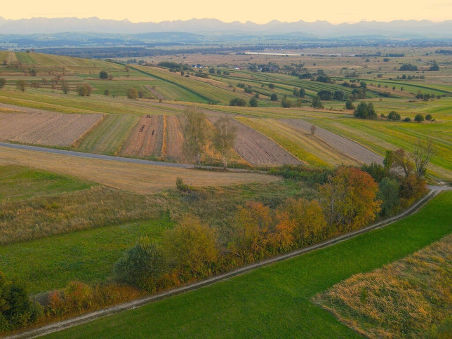Działka Sprzedaż Pieniążkowice 10