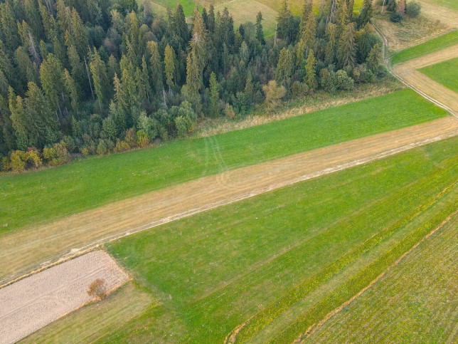 Działka Sprzedaż Pieniążkowice 11